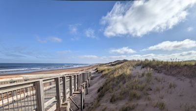 Dunes at P.E.I. National Park showing signs of recovery from Fiona's wrath