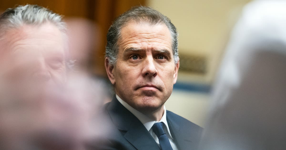 Former Secret Service agent sues New York Post and Daily Mail over Hunter Biden claim