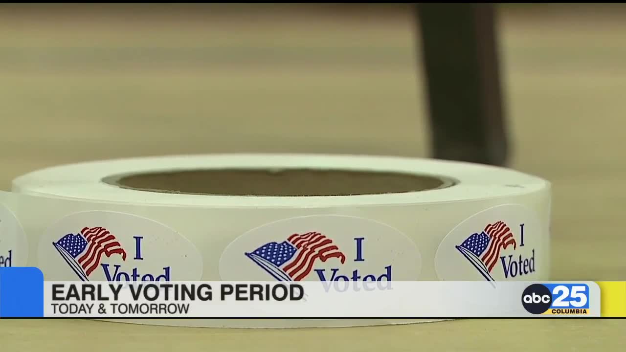 SC early primary voting period to end soon - ABC Columbia