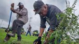 League City plants 80 donated trees to enhance parks, benefit wildlife