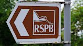 Watchdog: RSPB online post branding Sunak and Gove ‘liars’ was inappropriate