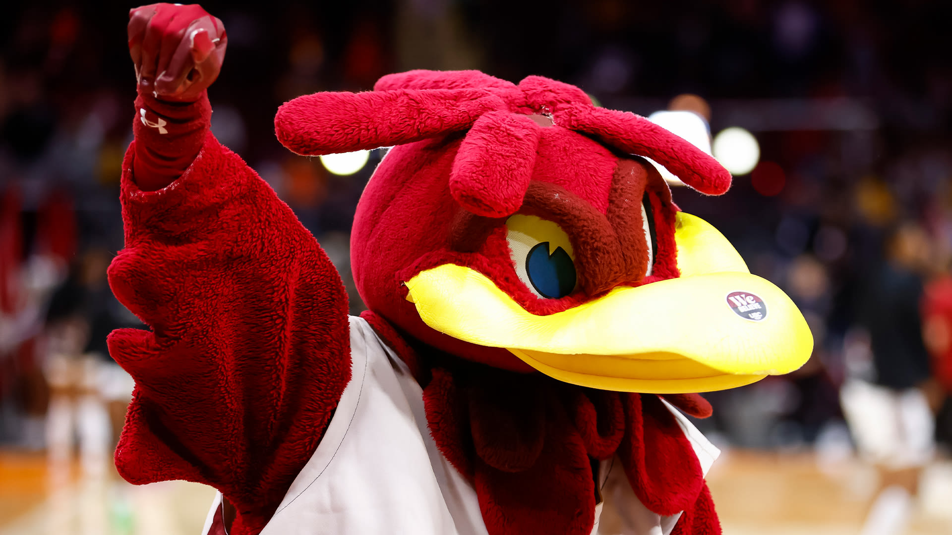 I've had secret life as South Carolina's Cocky mascot for past year