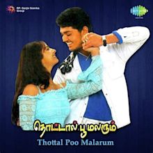 Thottal Poo Malarum (2007)