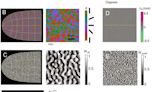 New model shows cortical implants like Elon Musk's Blindsight are unlikely to 'exceed normal human vision'