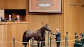 Resolute Bloodstock Purchases Top Two Horses At Keeneland April Selected Horses Of Racing Age Sale