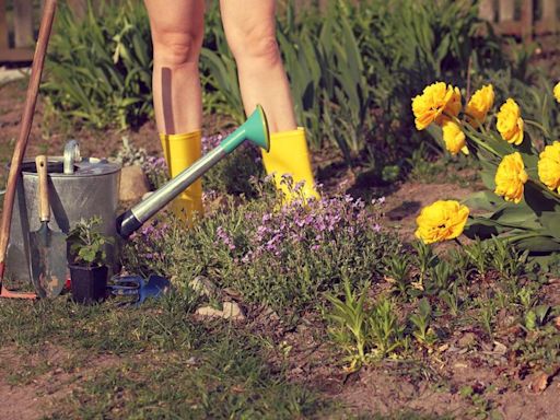 Best cities for naked gardening