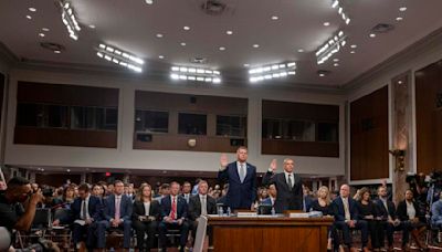 Acting Secret Service head 'ashamed' rooftop wasn't secure at rally where Trump was shot