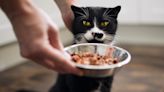 Bone appetit! Ocado to offer ‘fine dining’ ready meals for cats and dogs