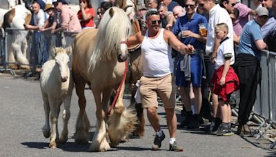 Wickham Horse Fair 2024: Travellers flock to UK town for 800-year-old tradition