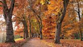 From the Loire Valley to Lapland: Europe's best places to catch colourful autumn leaves