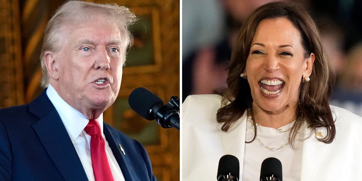 Trump Backtracks When Reporter Confronts Him About Harris Rally AI Lie