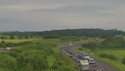 Edinburgh Royal Highland Show sparks rush hour delays as drivers tailback