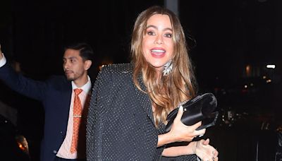 Sofía Vergara, 51, Admits She's 'Going to Do Every Plastic Surgery' Procedure She Can