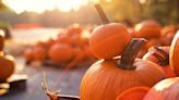 These Pumpkin Quotes Are Just What You Need to Get You Ready for Fall