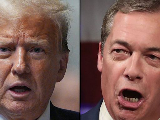 Ex-Trump Aide Slams Idea Of 'Human Wrecking Ball' Nigel Farage Working With Former President