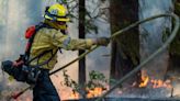 California wild fire scorches 360,000 acres - an area larger than Phoenix