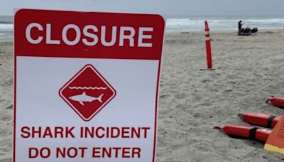 Un bañista fue atacado por un tiburón en San Diego, California, y bloquearon el acceso a la playa