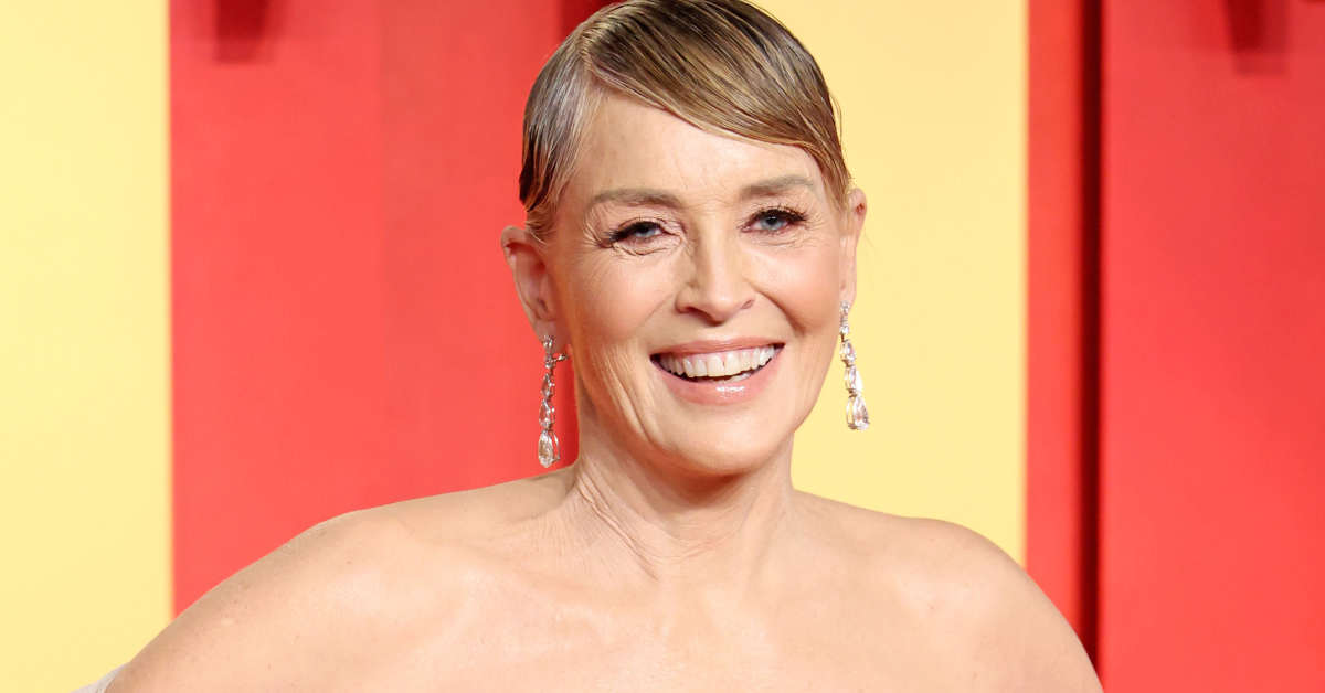 Sharon Stone's Debilitating Stroke Cost Her Millions: See Her Net Worth Now