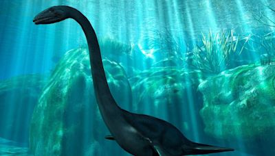 Loch Ness Monster existence 'plausible' following incredible new discovery