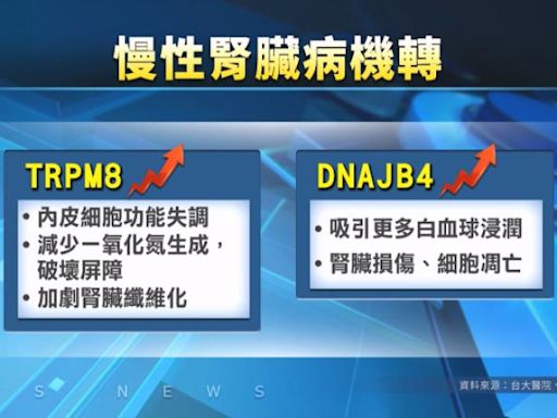 台大與北榮攜手研究慢性腎臟病 首發現延緩慢惡化2關鍵蛋白質