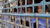 La ONU alerta de que 45.000 rohingyas se han desplazado hacia la frontera con Bangladesh