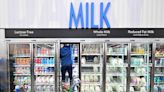 美商店20％牛奶都被感染 H5N1恐已大規模蔓延 - 自由財經