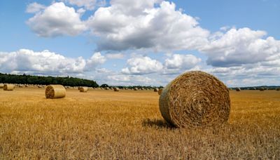 ‘Lost’ five years make farming’s net zero ambition difficult to hit, NFU warns