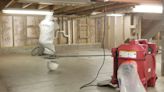 7 Things That Mold Mitigation Teams Do to Repair Damage