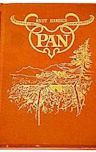 Pan (novel)