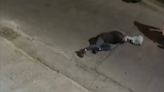 Video: motochorros golpearon y arrastraron por el suelo a un joven para robarle la mochila