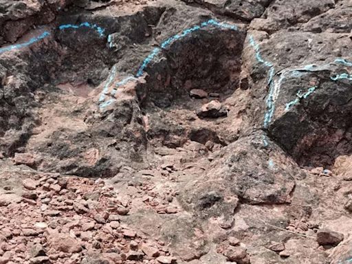 Hallan más de 400 fósiles de huellas de dinosaurio del período Cretácico en China