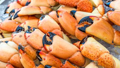 Stone Crab: The Florida Speciality That's as Luxurious as It Gets