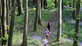 Enjoy the Slieve Bloom Walking Festival in Offaly this May Bank Holiday weekend