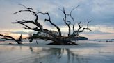 See the photos: Tripadvisor’s 2023 Travelers’ Choice Best of the Best Beaches in Florida, Georgia