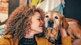 10 Ways to Make Your Dog's Golden Years as Good as Gold