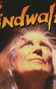 Windwalker (film)