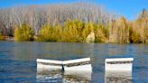 Video | La crecida del río Limay dejó árboles y costas inundadas en Neuquén: mirá las fotos - Diario Río Negro