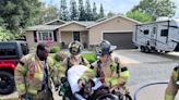 Sacramento firefighters save unconscious pup from house fire