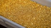 Gold holds ground as slowing inflation boosts Fed rate-cut bets