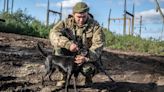 Group works to save animals left behind amid Ukraine war