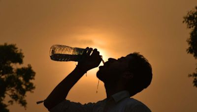 Très fortes chaleurs en début de semaine prochaine : jusqu'à 40°C dans le sud-ouest