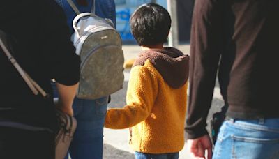 Niño de 3 años sufre serias heridas al ser atacado por un perro en terminal de Collipulli