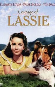 Courage of Lassie