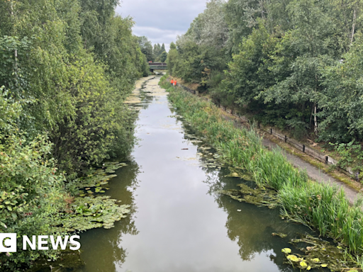 Sodium cyanide spill in Walsall canal could be gone within a week - expert