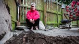 Dundee woman continues battle with council as tree 'edges closer' to home