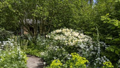 This is what Adam Frost and Monty Don had to say about this RHS Chelsea show garden...