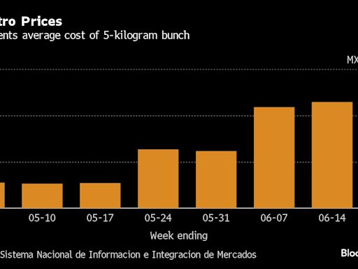 A 400% Jump in Cilantro Prices Forces Mexican Taquerias to Get Creative