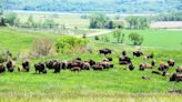 Nebraska tribe awarded millions for a new facility