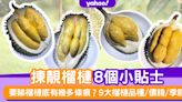 榴槤品種｜9大馬來西亞榴槤季節/品種/價錢！專家教8個揀榴槤貼士