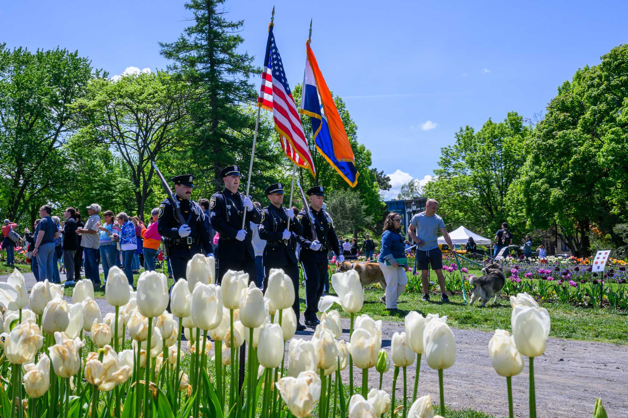 Photos: Albany's 76th annual Tulip Festival